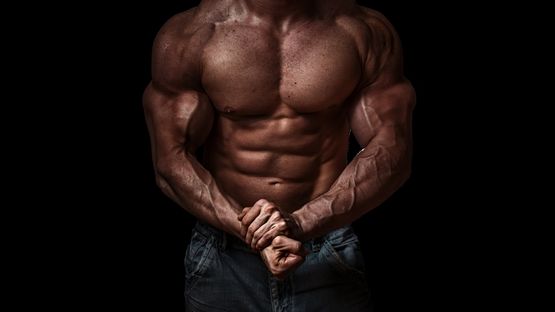 Steroid-Kurse für die Trocknung und Bildhauerei (Gewinnung von mageren Körpermasse) Dosierung